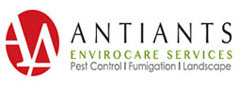 Rentokil Acquires Singapore Antiants Pest Control