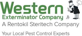 The Curious Case of Western Exterminator: How One Mistake Cost the Shareholders Millions on Their Sale to Rentokil and How You Can Avoid Making the Same Mistake