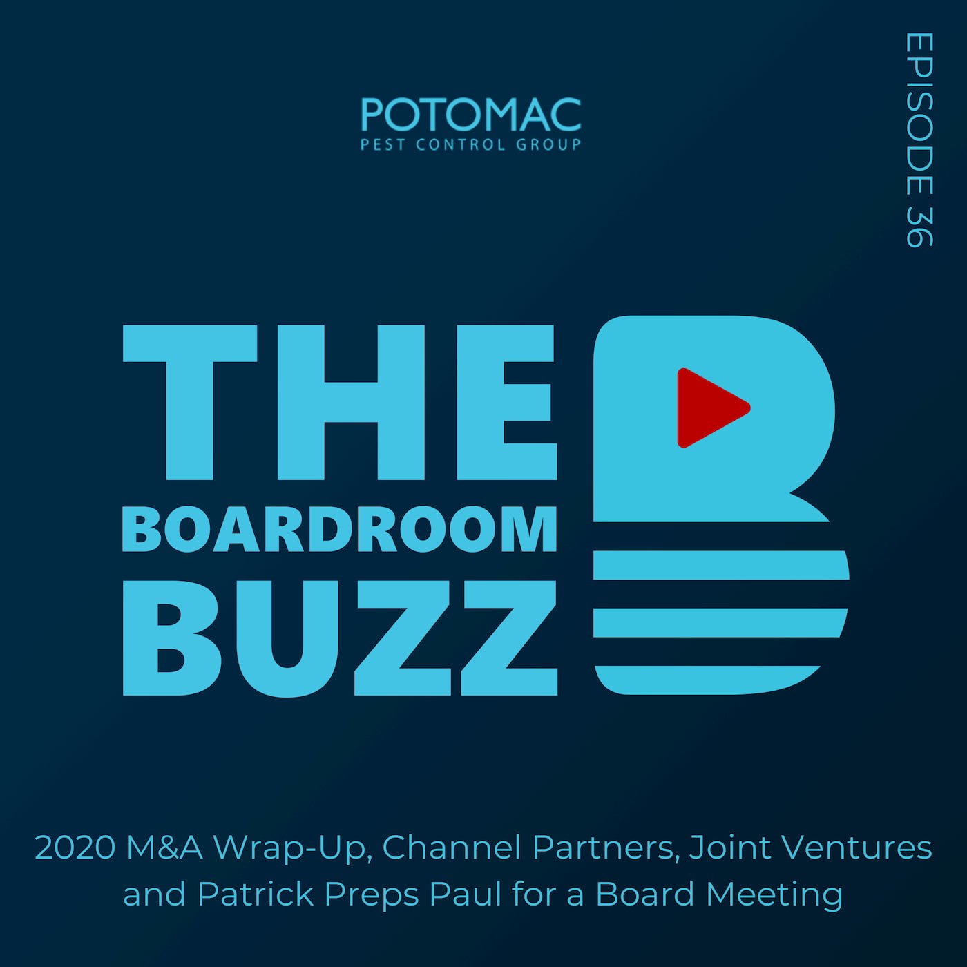 Ep 36 – 2020 M&A Wrap-Up and Patrick Preps Paul for a Board Meeting