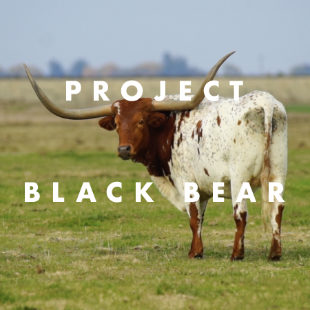 Ep 59 – Project Black Bear