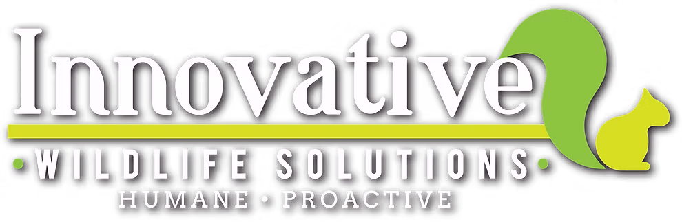 Logo for Innovative Wildlife Solutions featuring a green squirrel silhouette, the tagline "Humane • Proactive," and the words "Wildlife Solutions" below a yellow line.