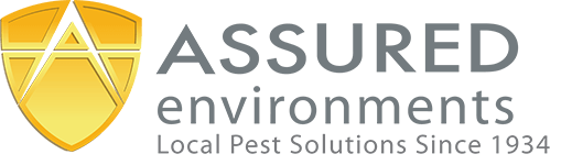 Logo with a gold shield featuring the letter "A" next to the text "ASSURED environments" and the tagline "Local Pest Solutions Since 1934" written below in gray letters.