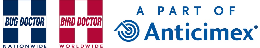 Two square logos side by side: one blue labeled "Bug Doctor Nationwide" and one red labeled "Bird Doctor Worldwide." Next to them, blue text reads "A part of Anticimex" with the Anticimex logo.