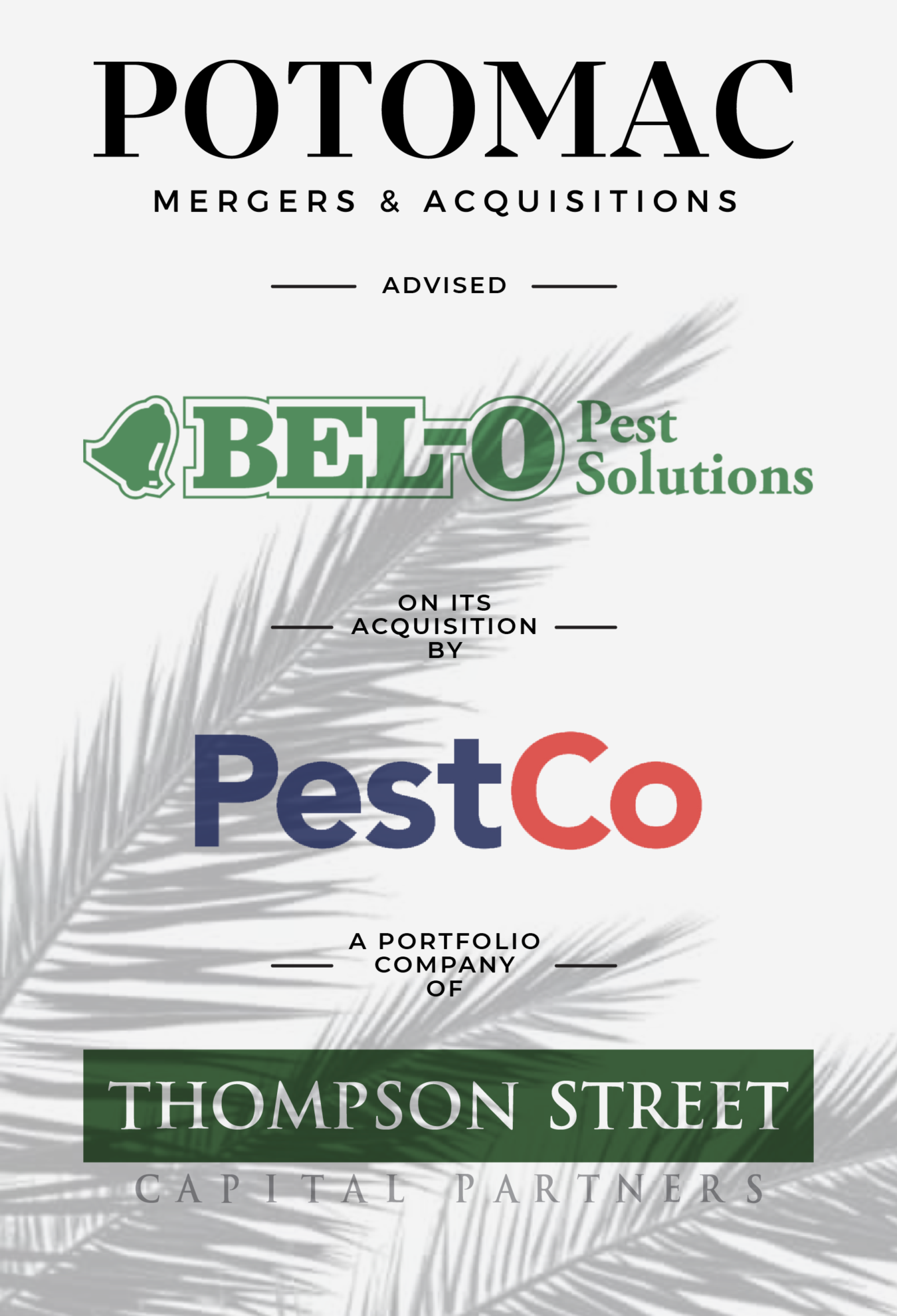 Announcement graphic showing Potomac Mergers &amp; Acquisitions advising Belo Pest Solutions on its acquisition by PestCo, a portfolio company of Thompson Street Capital Partners. Palm frond shadows in the background.