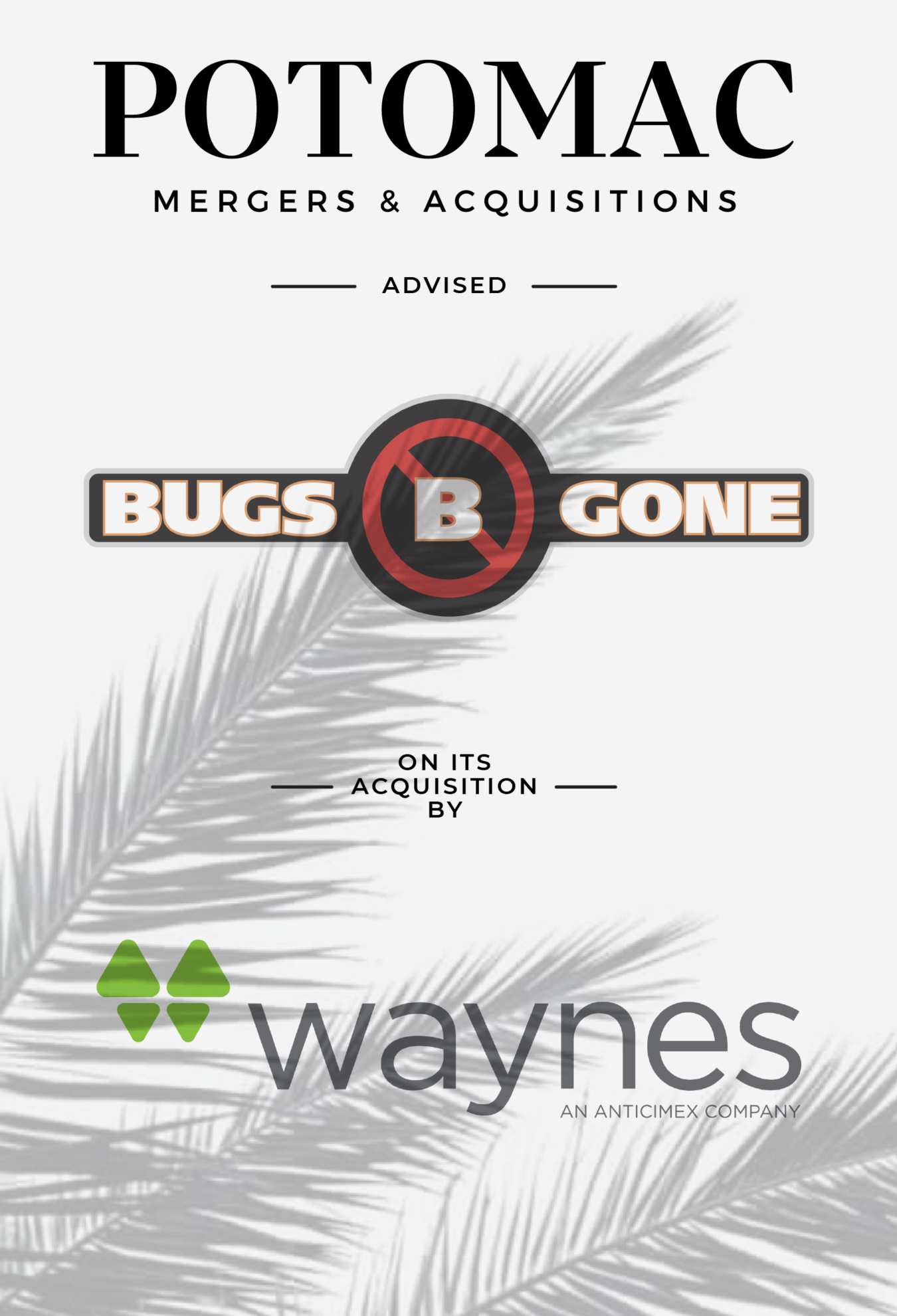 A graphic announcing Potomac Mergers &amp; Acquisitions advised Bugs B Gone on its acquisition by Waynes, an Anticimex company. Palm leaves are faintly visible in the background.