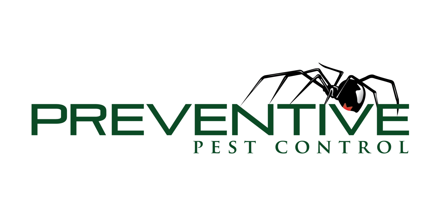Logo for Preventive Pest Control with the word "PREVENTIVE" in bold green letters, partly covered by a black spider illustration, and "PEST CONTROL" in smaller green text below.