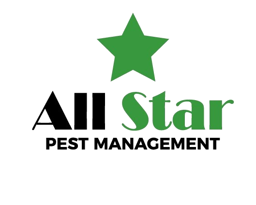 Logo for "All Star Pest Management" featuring a large green star above the words "All Star" in black and green text, with "PEST MANAGEMENT" in bold black letters below.
