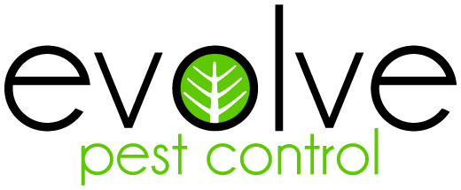 Logo for "Evolve Pest Control" with "evolve" in black letters; the "o" contains a green circle with a white leaf design. "Pest control" appears below in light green lowercase letters.