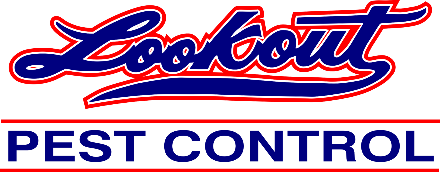 Logo with the words "Lookout" in blue script outlined in red, above a blue block text "PEST CONTROL" inside a red-bordered rectangular box on a white background.
