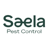 Logo for Saela Pest Control featuring the company name "Saela" in bold, dark green letters with a unique "æ" character, above the words "Pest Control" in smaller font on a light background.