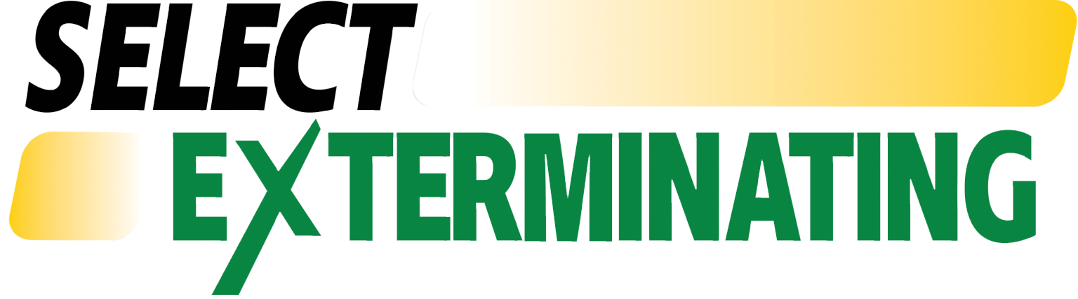 Logo with the words "Select Exterminating." "Select" is in bold black and italic font, while "Exterminating" is in bold green font with a yellow gradient bar above and to the left.