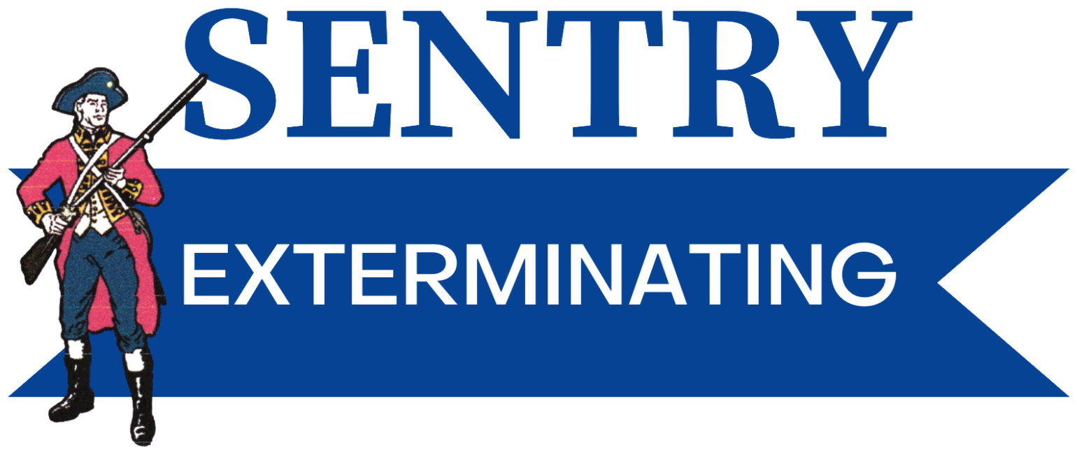 Logo for "Sentry Exterminating" featuring a colonial-era soldier holding a rifle, standing next to bold blue text, with "EXTERMINATING" written inside a blue banner below "SENTRY.