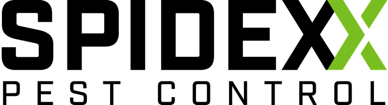 The image shows the logo for Spidexx Pest Control. The word "SPIDEXX" is in bold black letters, with the final "X" in green. Below, "PEST CONTROL" appears in smaller black capital letters.