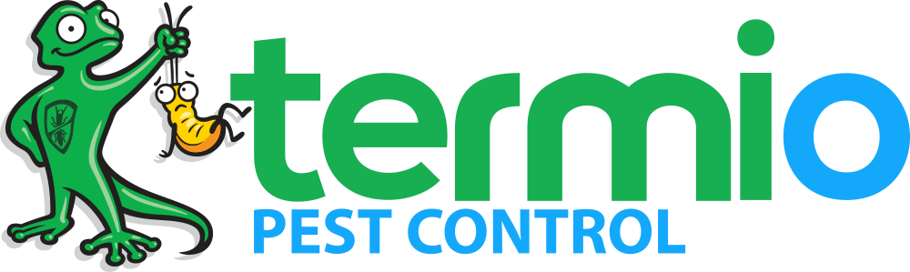 A green gecko holding a dangling insect by the tail stands next to the words “termio” in green and “PEST CONTROL” in blue.