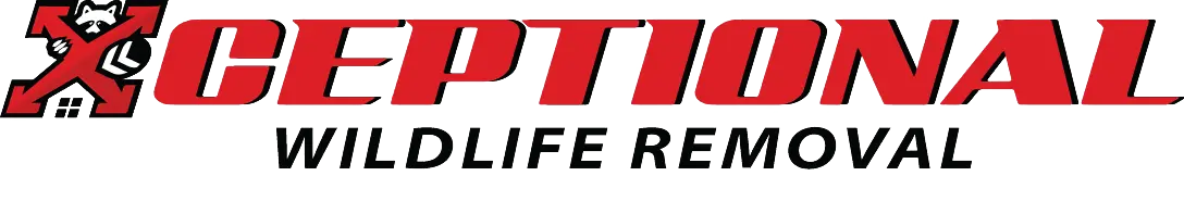 Logo for "Xceptional Wildlife Removal" with a stylized red "X" featuring a raccoon peeking over a roof on the left, and bold red and black text spelling out the company name.