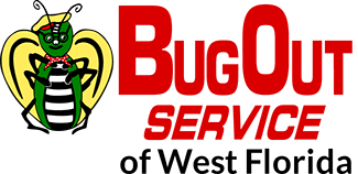 BugOut Service